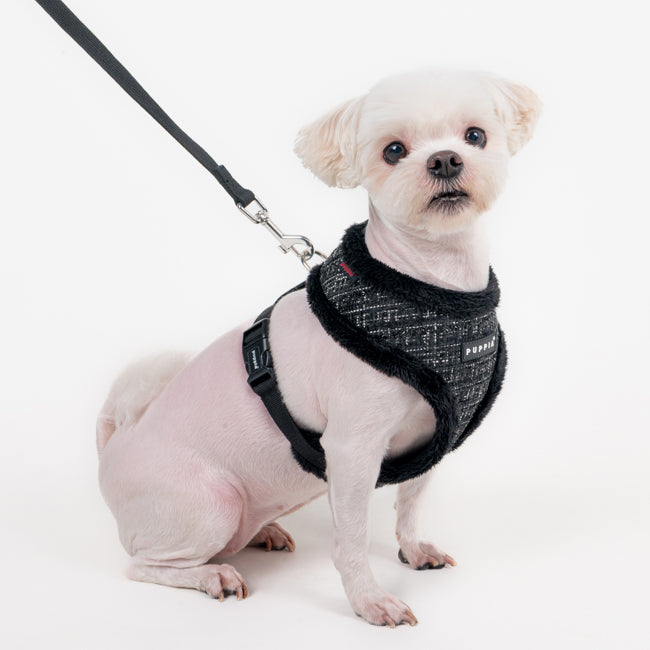 Puppia Oscar Harness model A Black