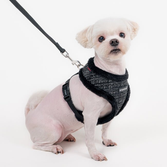 Puppia Oscar Harness model A Black hondentuig > honden harnas > model A Small
