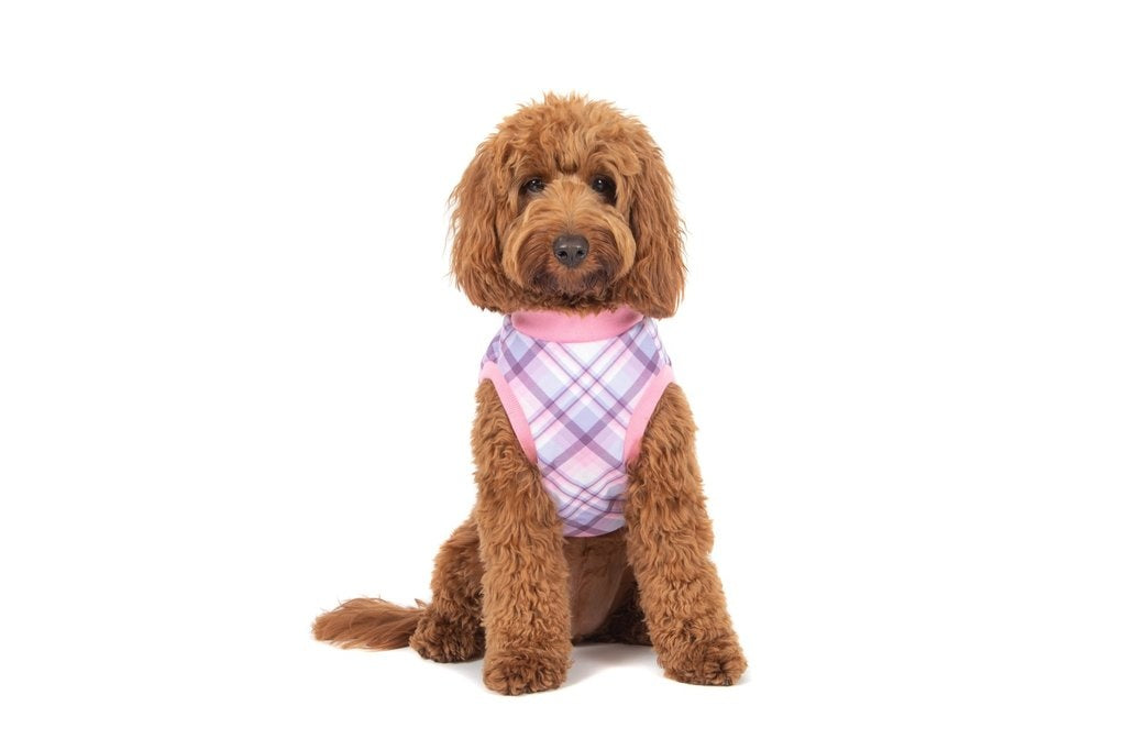 Big and Little Dogs Fleece Pyjama Purple & Pink Plaid - Premium Hondenkleding > Hondenpyjama from Big and Little Dogs - Just €20! Shop now at Frenkiezdogshop