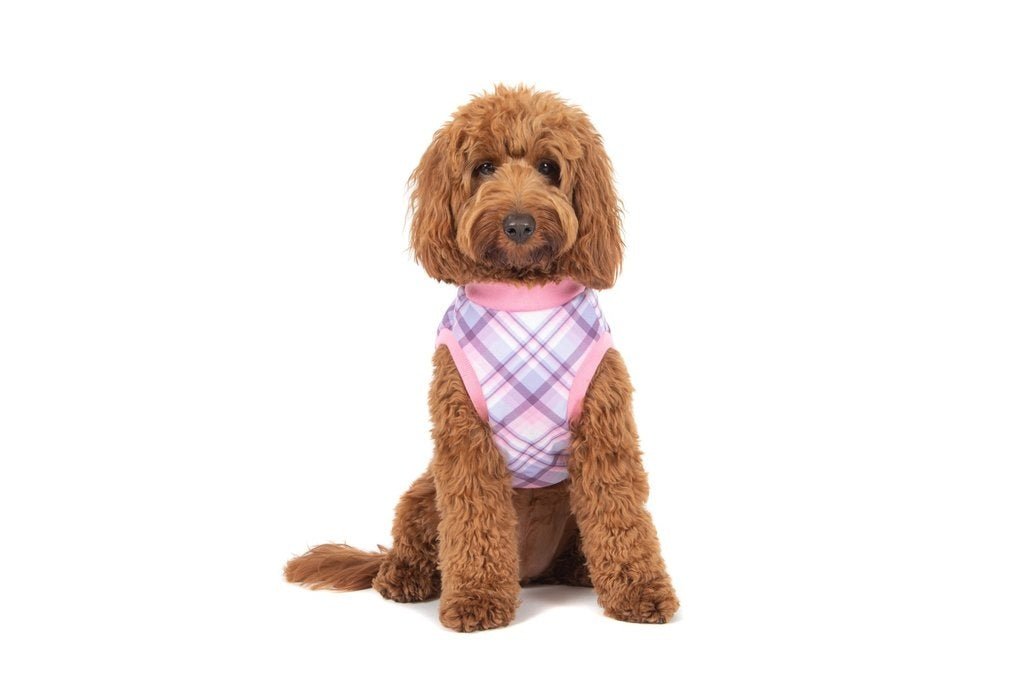 Big and Little Dogs Fleece Pyjama Purple & Pink Plaid Hondenkleding > Hondenpyjama 50 CM