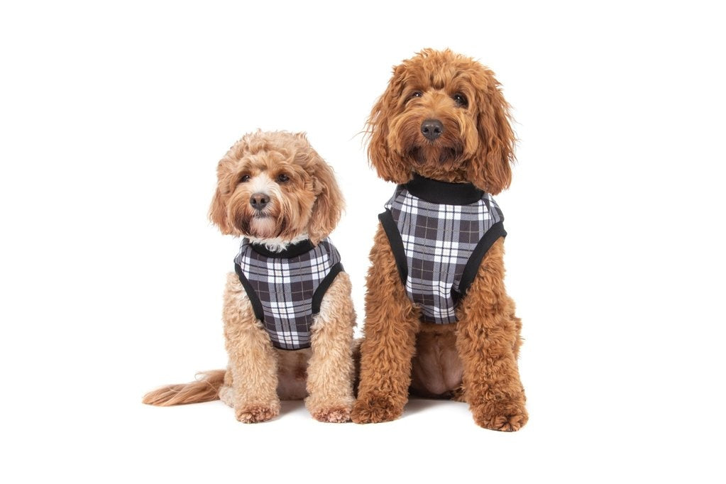 Big and Little Dogs Fleece Pyjama Black Plaid - Premium Hondenkleding > Hondenpyjama from Big and Little Dogs - Just €20! Shop now at Frenkiezdogshop