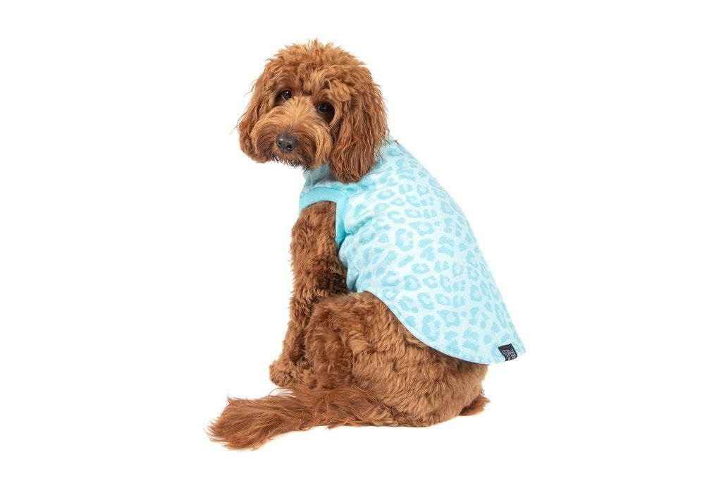 Big and Little Dogs Fleece Pyjama Turquoise Leopard - Premium Hondenkleding > Hondenpyjama from Big and Little Dogs - Just €20! Shop now at Frenkiezdogshop