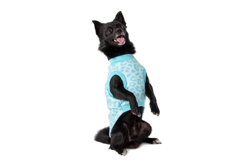 Big and Little Dogs Fleece Pyjama Turquoise Leopard Hondenkleding > Hondenpyjama 50 CM