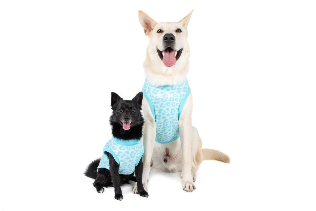 Big and Little Dogs Fleece Pyjama Turquoise Leopard Hondenkleding > Hondenpyjama 50 CM