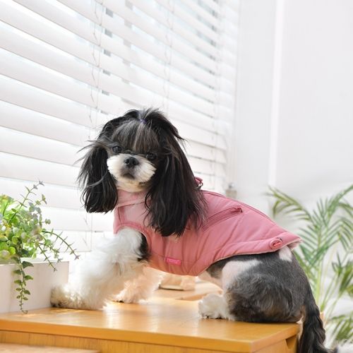 Pinkaholic Tintin Jacket Harness Indian Pink - Premium Hondenkleding > hondenjas from Pinkaholic - Just €49.99! Shop now at Frenkiezdogshop