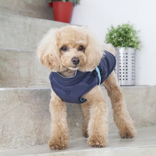 Pinkaholic Aiden Jacket Harness Navy - Premium Hondenkleding > hondenjas from Pinkaholic - Just €25! Shop now at Frenkiezdogshop