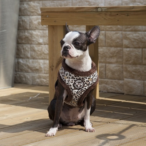 Pinkaholic Leo Pug Harness Brown - Premium hondentuig > honden harnas from Pinkaholic - Just €20! Shop now at Frenkiezdogshop