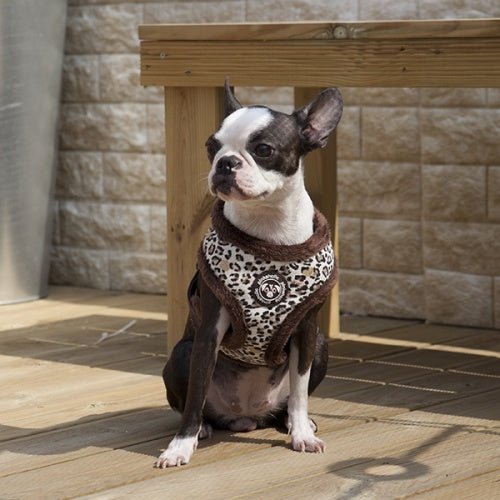 Pinkaholic Leo Pug Harness Brown hondentuig > honden harnas > model A Small