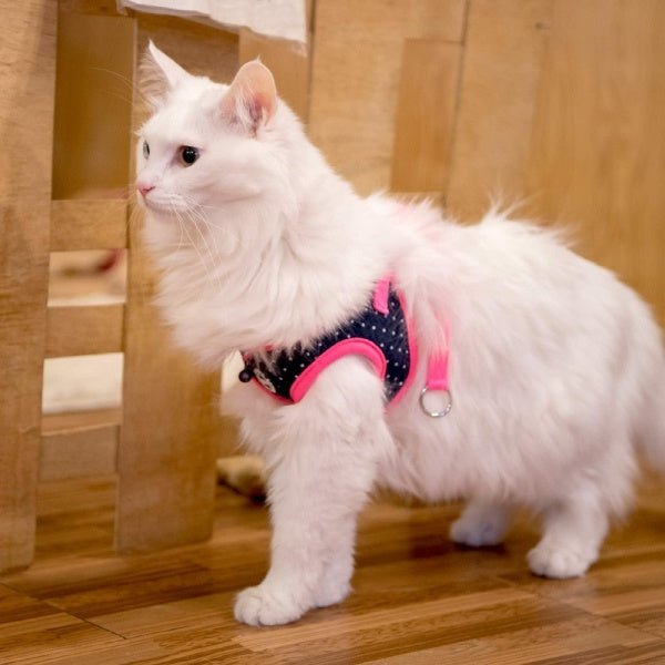 Catspia Cora Harness model Q Pink Kattentuig > kattenharnas Small