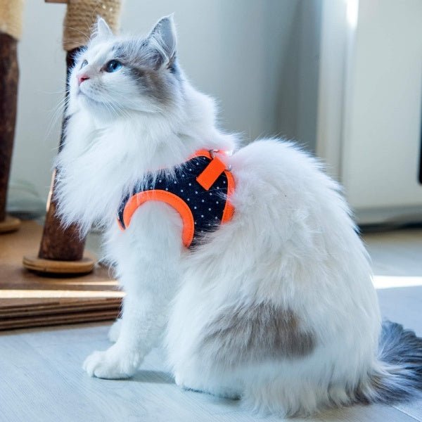 Catspia Cora Harness model Q Orange Kattentuig > kattenharnas Small