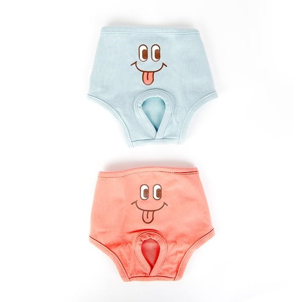 Puppia Olchi Loopsheidbroekje Blue Loopsheidbroek > Periodebroekje Small