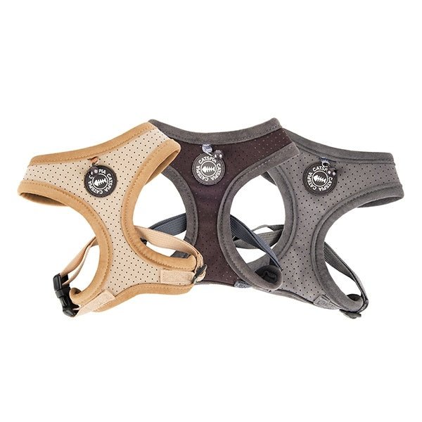 Catspia Katten Tuigje Lumi Wine Kattentuig > kattenharnas X - Small