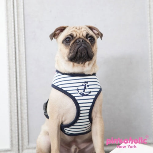 Pinkaholic Matelot harness Navy - Premium hondentuig > honden harnas from Pinkaholic - Just €10! Shop now at Frenkiezdogshop