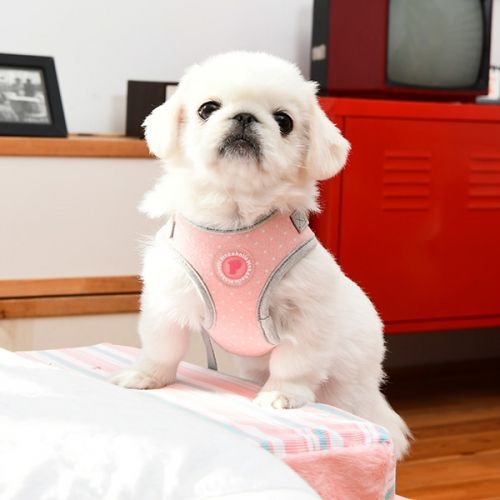 Pinkaholic Lalo Harness C Indian Pink hondentuig > honden harnas > model C Small