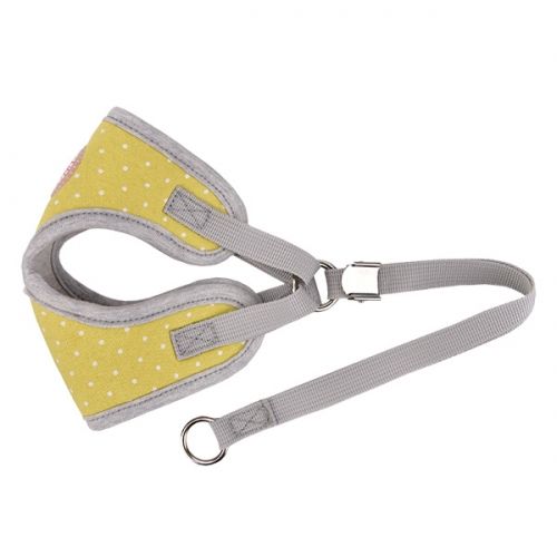 Pinkaholic Lalo Harness C Lime - Premium hondentuig > honden harnas from Pinkaholic - Just €10! Shop now at Frenkiezdogshop