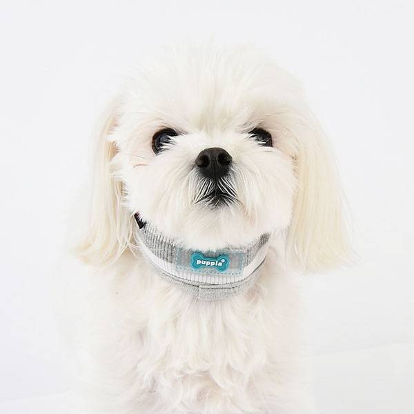 Puppia Oceane halsband grey ( Medium) halsband > hondenhalsband Small