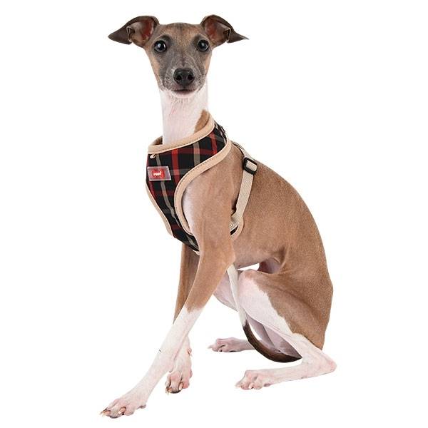 Puppia Baxter Harness model A Black ( XL ) hondentuig > honden harnas > model A Large