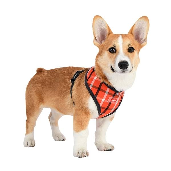 Puppia Baxter Harness model A Orange - Premium hondentuig > honden harnas from Puppia - Just €10! Shop now at Frenkiezdogshop