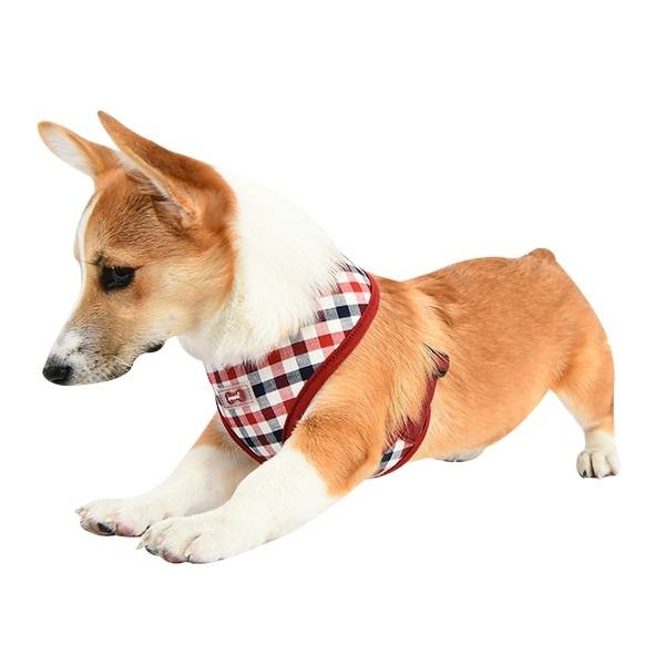 Puppia Neil Harness Wine model A ( LARGE ) hondentuig > honden harnas > model A Small