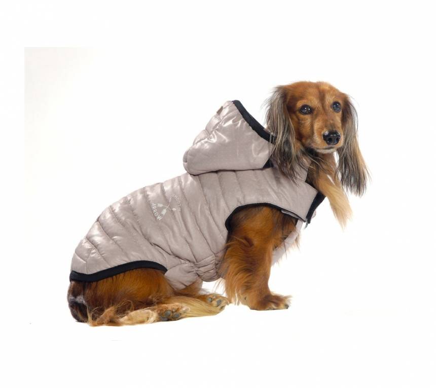 Bobby Winterjas Arrow beige - Premium Hondenkleding > hondenjas from Bobby - Just €20! Shop now at Frenkiezdogshop