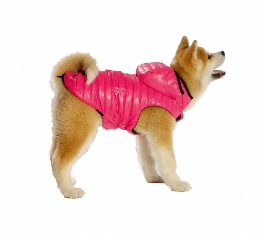 Bobby Winterjas Arrow pink (alleen small (30S,32S&34S) - Premium Hondenkleding > hondenjas from Bobby - Just €20! Shop now at Frenkiezdogshop