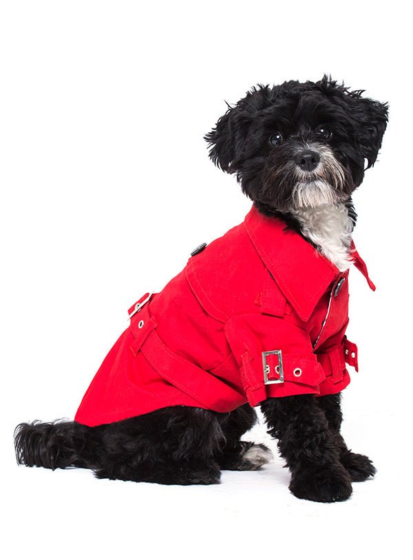 Urban Pup Red Fabric Trench Coat Hondenkleding > hondenjas X - Small