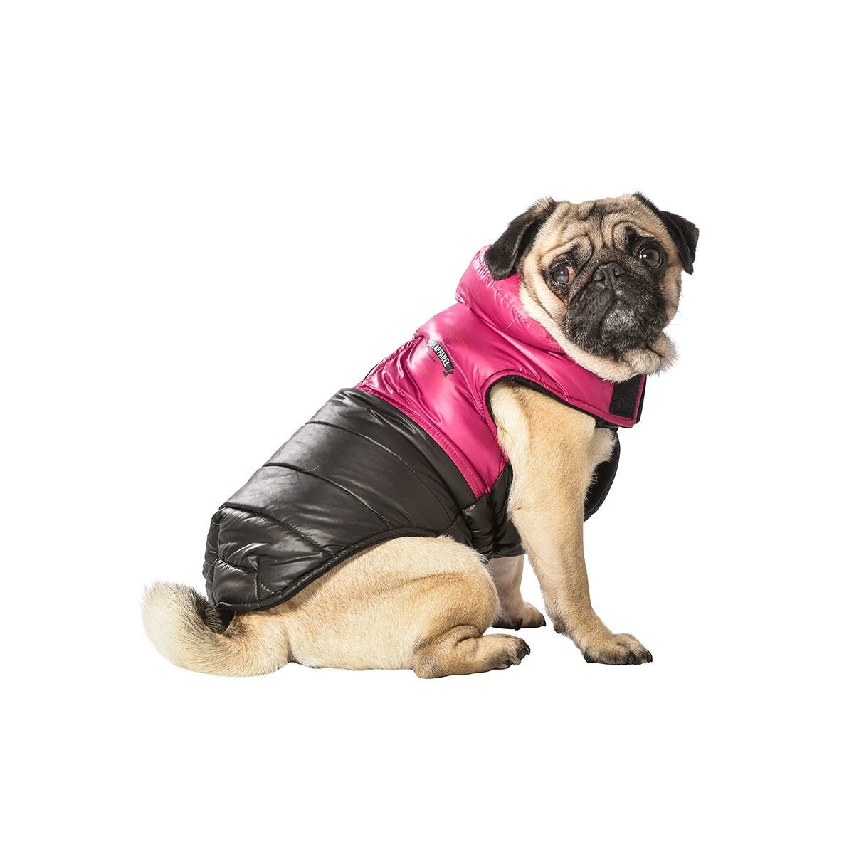 Bobby Winterjas Manteau Apparel Violet - Premium Hondenkleding > hondenjas from Bobby - Just €20! Shop now at Frenkiezdogshop