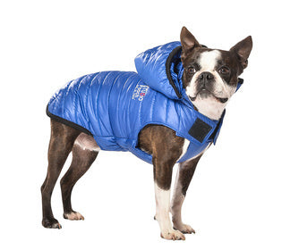 Bobby Donsjas Studio Blauw ( ALLEEN XS ) - Premium Hondenkleding > hondenjas from Bobby - Just €20! Shop now at Frenkiezdogshop