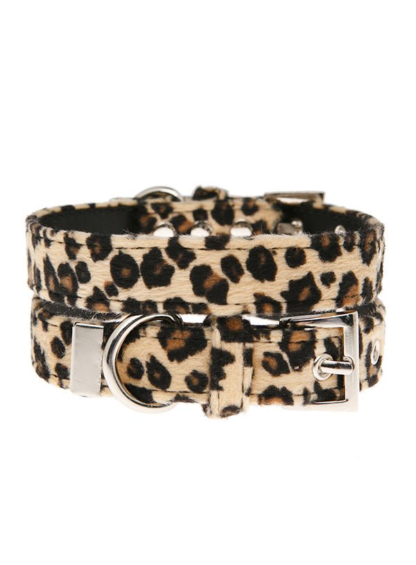 Urban Pup Halsband Leopard halsband > hondenhalsband Small