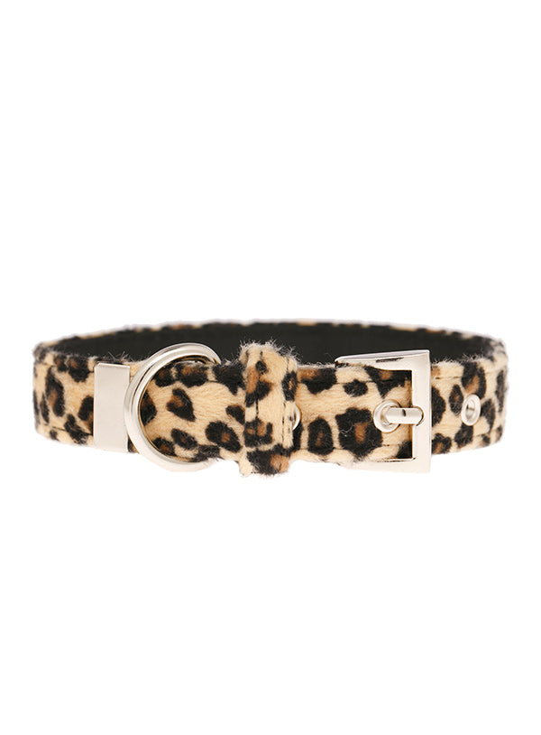 Urban Pup Collar Leopard