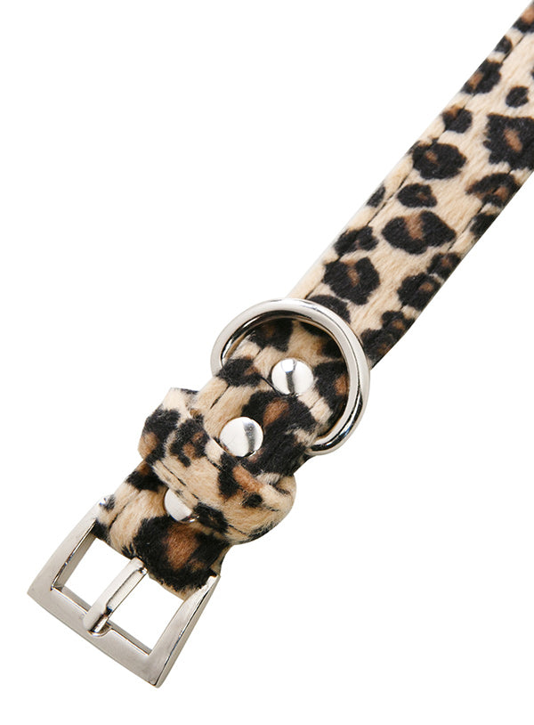 Urban Pup Collar Leopard
