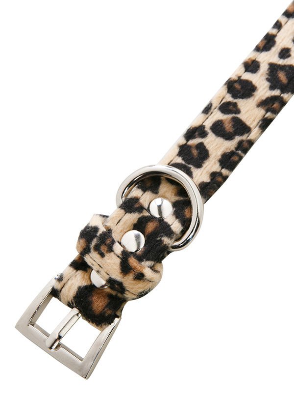 Urban Pup Halsband Leopard halsband > hondenhalsband Small