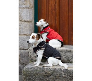 Bobby Winterjas Tartan Zwart Hondenkleding > hondenjas 25 cm