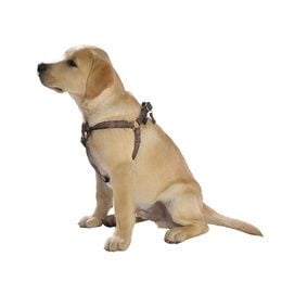 Bobby SAFE harness Fuchsia - Premium hondentuig > honden harnas from Bobby - Just €10! Shop now at Frenkiezdogshop