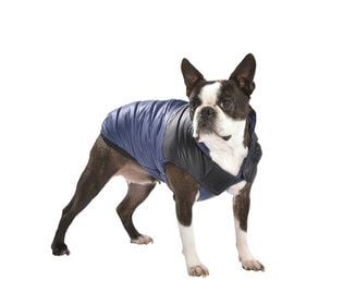 Bobby Winterjas Groove Blauw ( ALLEEN XS ) - Premium Hondenkleding > hondenjas from Bobby - Just €20! Shop now at Frenkiezdogshop
