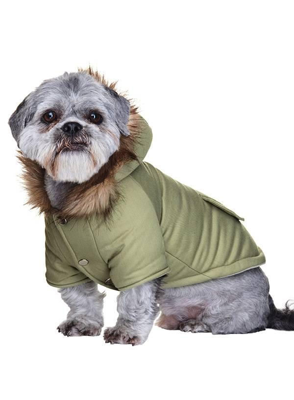 Urban Pup Mod Fishtail Parka - Premium Hondenkleding > hondenjas from Urban Pup - Just €20! Shop now at Frenkiezdogshop