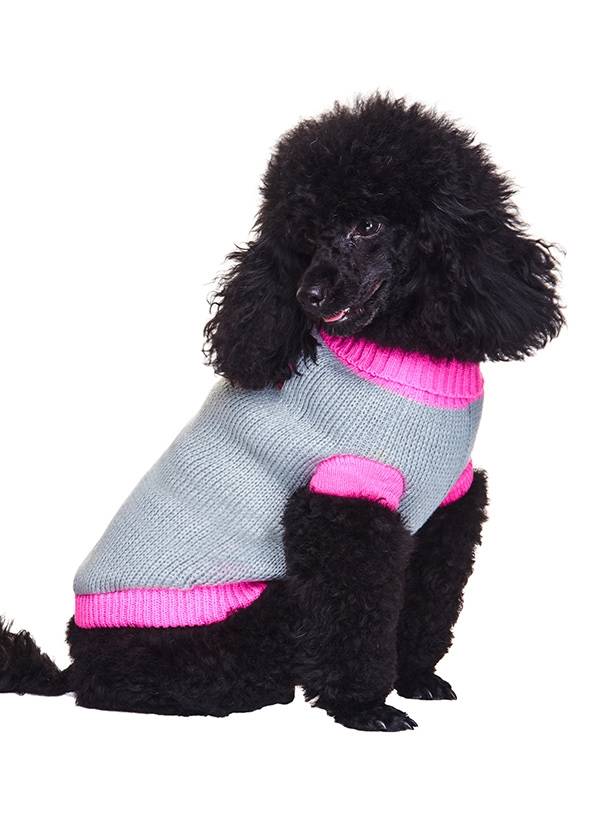 Urban Pup Pink Paw Sweater Hondenkleding > Hondentrui X - Small