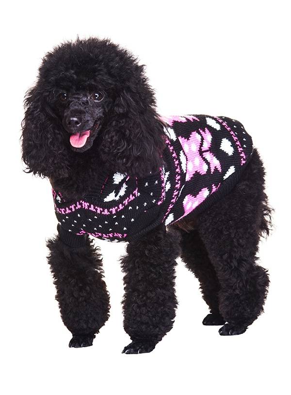 Urban Pup Winter Wonderland Hooded Sweater Hondenkleding > Hondentrui X - Small