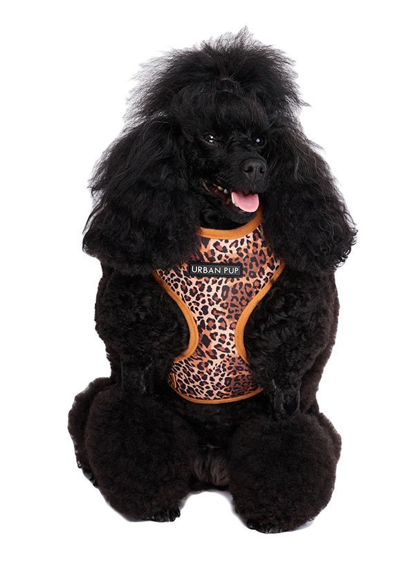 Urban Pup Cheetah Print Harness hondentuig > honden harnas > model A XX - Small