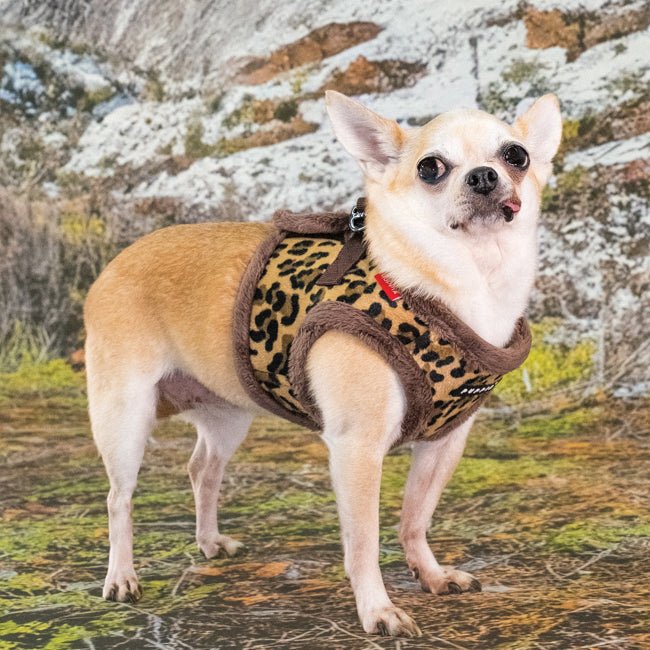 Puppia Wild Vest Harness B Brown hondentuig > honden harnas > model B Small