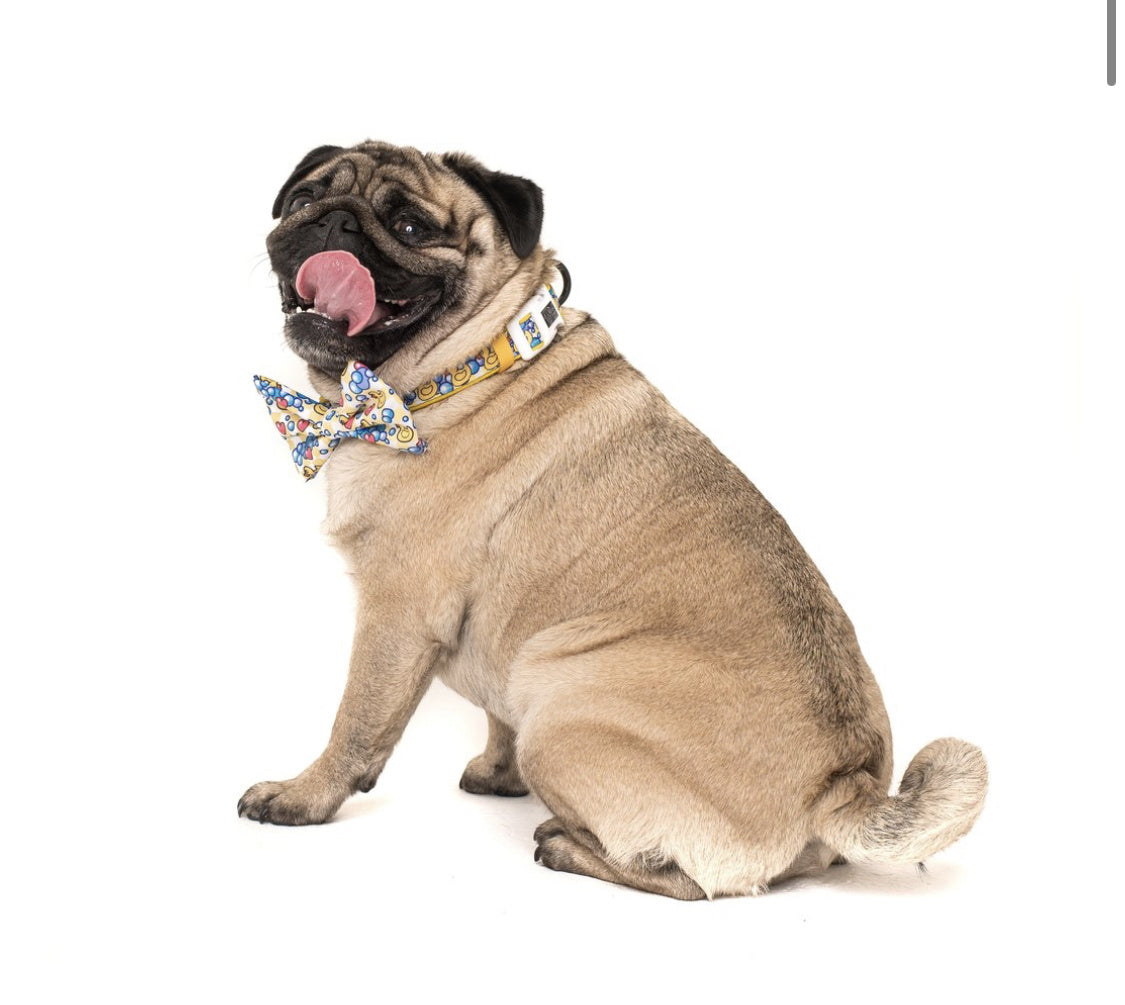 Big and Little Dogs Halsband Rubber Ducky ( SMALL ) - Premium halsband > hondenhalsband from Big and Little Dogs - Just €10! Shop now at Frenkiezdogshop