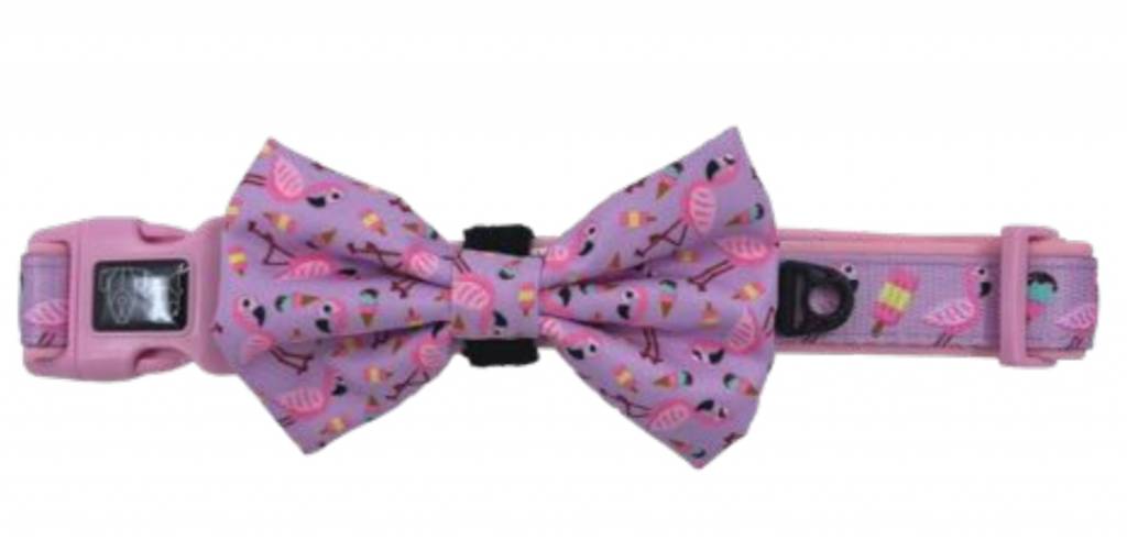 Big and Little Dogs Halsband For Flocks Sake ( L ) halsband > hondenhalsband Medium