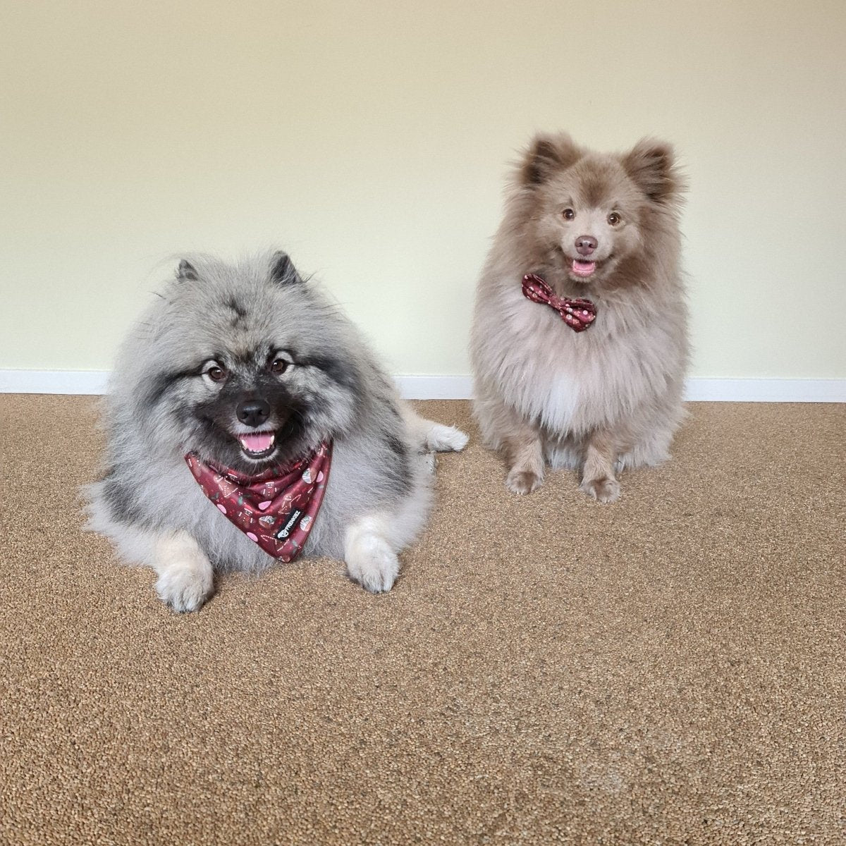 Frenkiez Bowtie Brown Gingerbread Man Hondenstrik > strik Medium