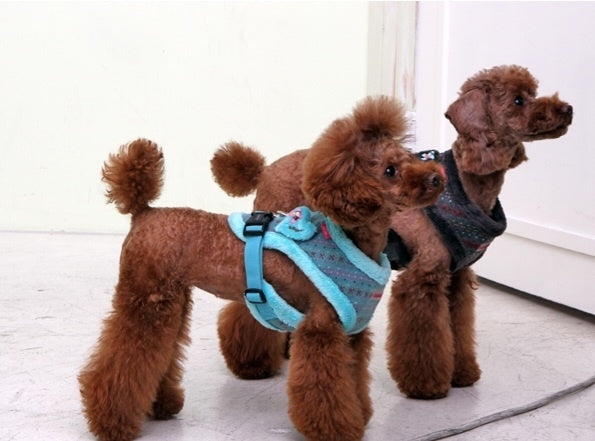 Pinkaholic Twilight Snugfit Harness Aqua - Premium hondentuig > honden harnas from Pinkaholic - Just €20! Shop now at Frenkiezdogshop