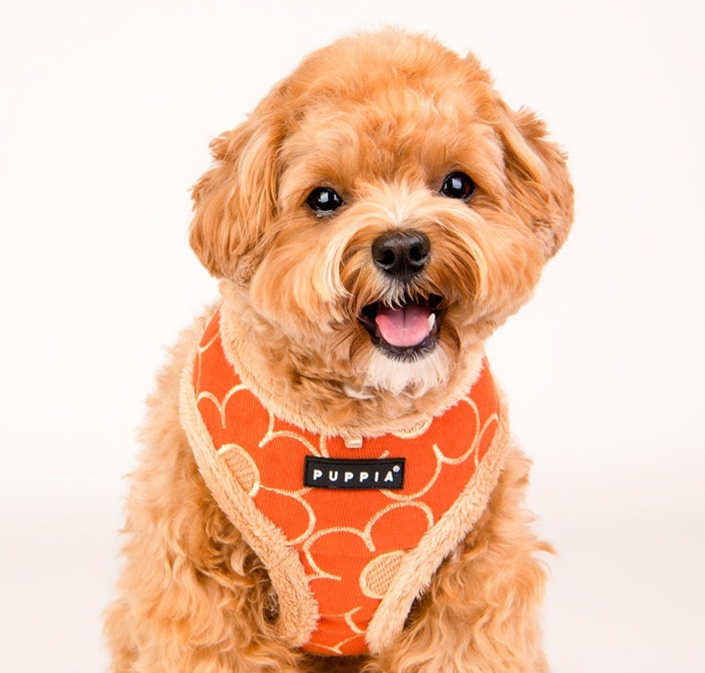 Puppia Florent Harness Model A Orange - Premium hondentuig > honden harnas from Puppia - Just €29.99! Shop now at Frenkiezdogshop