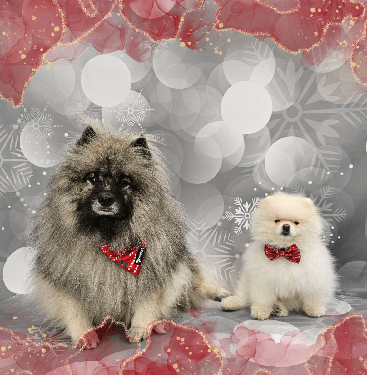 Frenkiez Christmas Bandana Red Christmas Hondenkleding > bandana Small