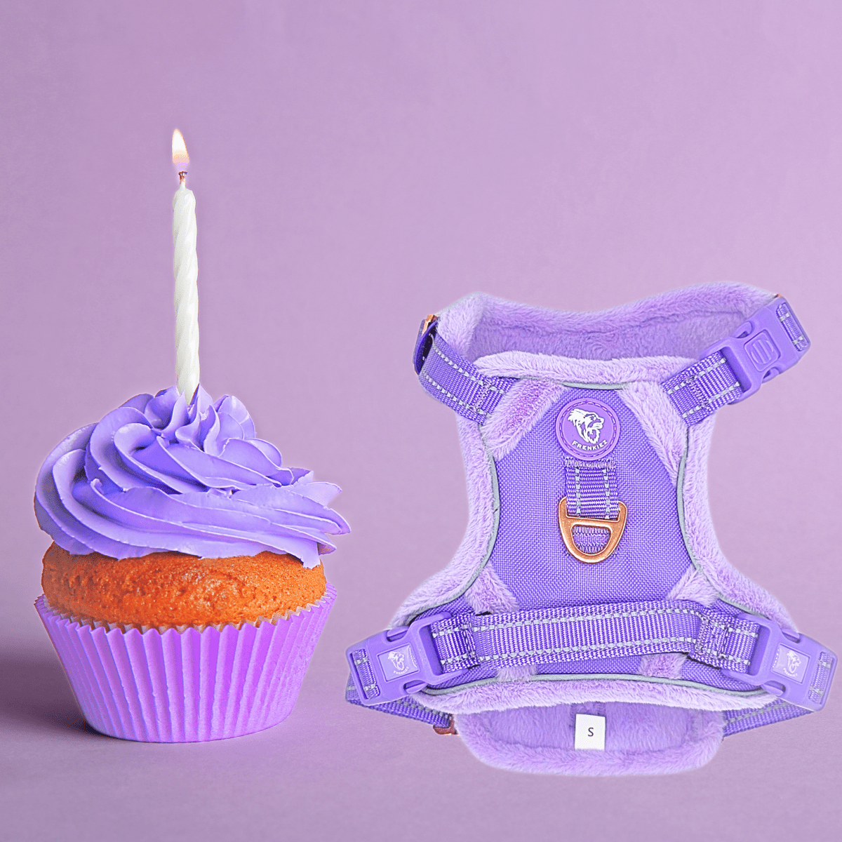 Frenkiez Teddy reflective Y tuig no pull dogharness Luxury Lila hondentuig > honden harnas > Y tuigen X - Small