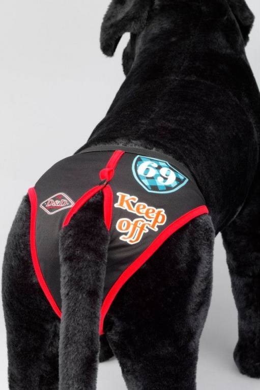 D&D dog pants periodebroekje KEEP OFF - Premium Loopsheidbroek > Periodebroekje from Frenkiezdogshop - Just €5! Shop now at Frenkiezdogshop