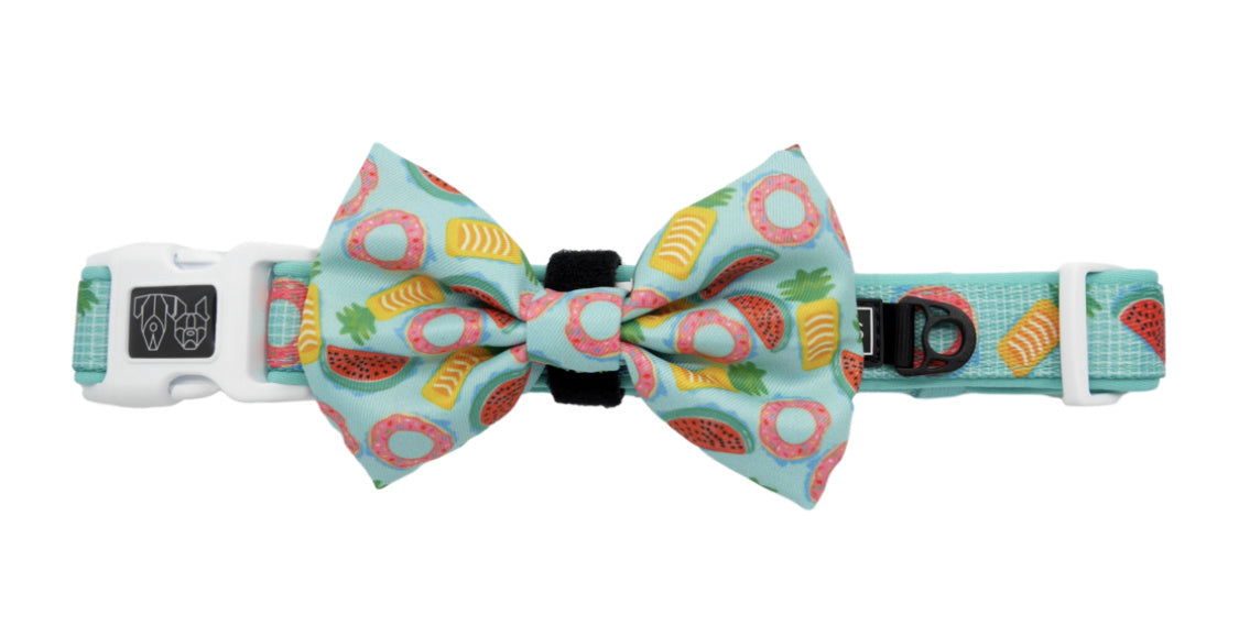Big and Little Dogs Halsband A Splashing Good Time ( XSMALL ) - Premium halsband > hondenhalsband from Big and Little Dogs - Just €10! Shop now at Frenkiezdogshop