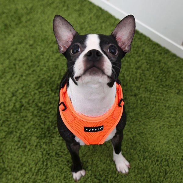 Puppia Neon Soft Harness Ritefit II Orange hondentuig > honden harnas > model A Small